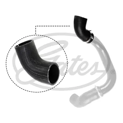 ENGINE HOSES 09-0499 TURBO HOSE Gates 