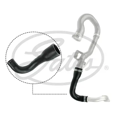 ENGINE HOSES 09-0681 TURBO HOSE Gates 