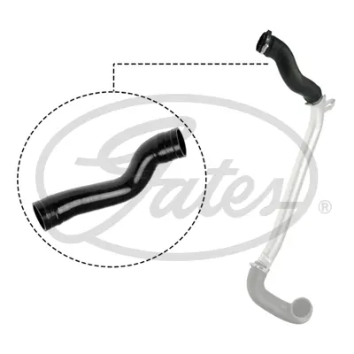 ENGINE HOSES 09-0951 TURBO HOSE Gates 