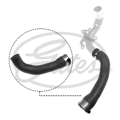 ENGINE HOSES 09-1034 TURBO HOSE Gates 