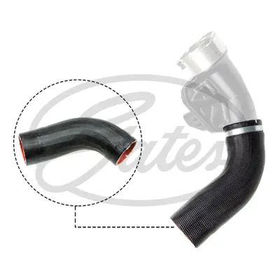 ENGINE HOSES 09-1241 TURBO HOSE Gates 