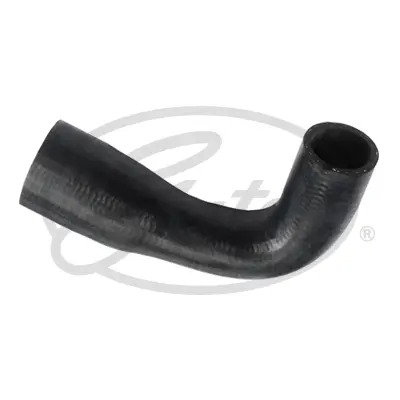 ENGINE HOSES 2042 CURVED HOSE Gates 