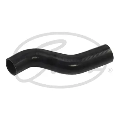 ENGINE HOSES 3121 CURVED HOSE Gates 