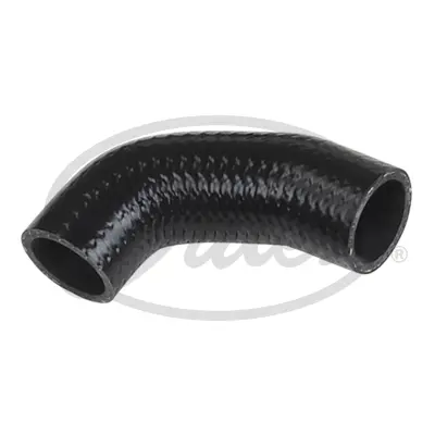 ENGINE HOSES 3175 CURVED HOSE Gates 