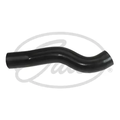 ENGINE HOSES 3281 CURVED HOSE Gates 