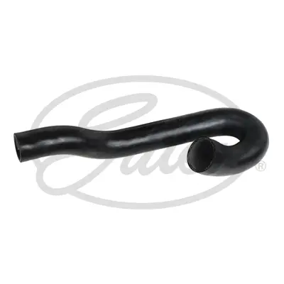 ENGINE HOSES 3300 CURVED HOSE Gates 