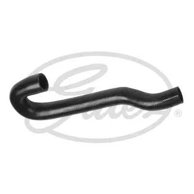 ENGINE HOSES 3494 CURVED HOSE Gates 