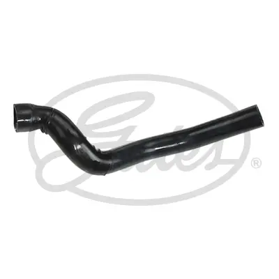 ENGINE HOSES 3581 CURVED HOSE Gates 