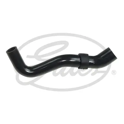 ENGINE HOSES 3600 CURVED HOSE Gates 