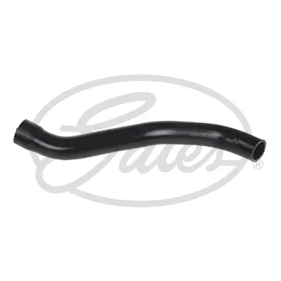 ENGINE HOSES 3612 CURVED HOSE Gates 