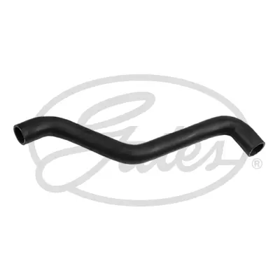ENGINE HOSES 3747 CURVED HOSE Gates 