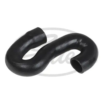 ENGINE HOSES 3764 CURVED HOSE Gates 