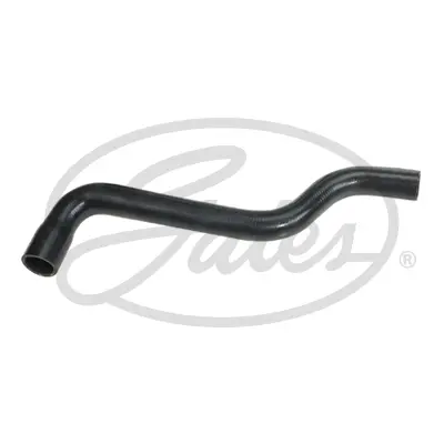 ENGINE HOSES 3774 CURVED HOSE Gates 
