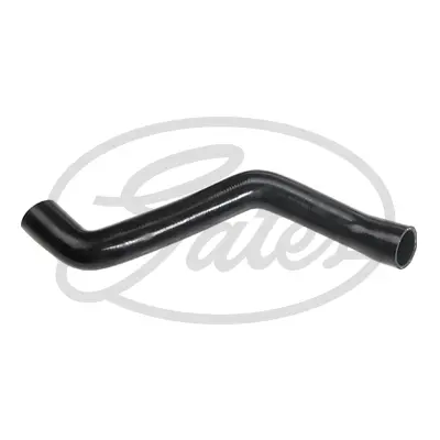 ENGINE HOSES 3834 CURVED HOSE Gates 