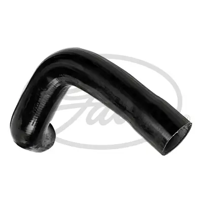 ENGINE HOSES 3881 CURVED HOSE Gates 