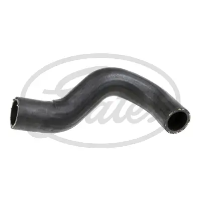LENS CLEAR Rubbolite 