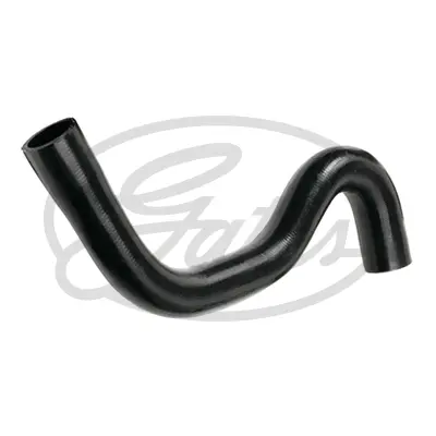 ENGINE HOSES 3896 CURVED HOSE Gates 