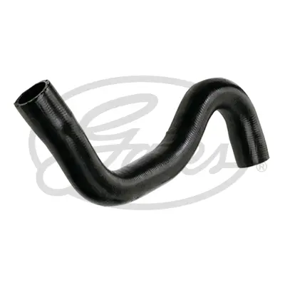 ENGINE HOSES 3981 CURVED HOSE Gates 