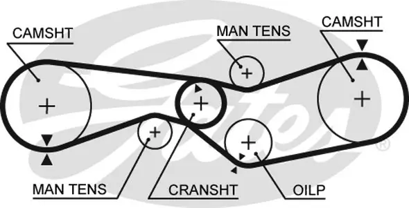 SYNCHRONOUS BELTS 5009 8 41103/41091 Gates 