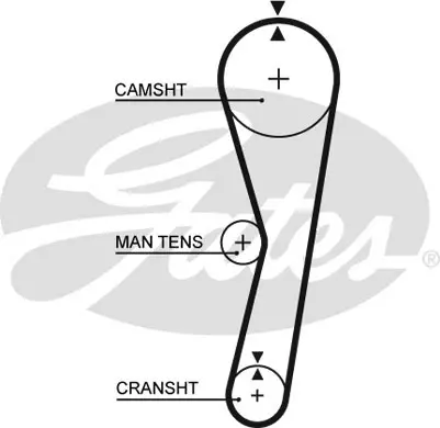 SYNCHRONOUS BELTS 5024 41104X17 Gates 