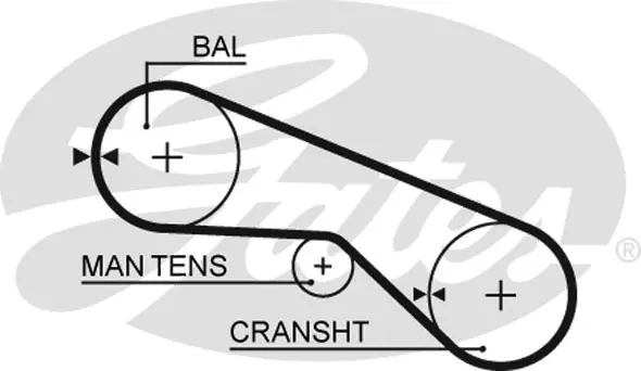 SYNCHRONOUS BELTS 5025 41055X1/2 Gates 