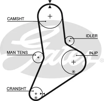 SYNCHRONOUS BELTS 5038 45149X30 Gates 