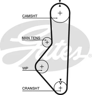 SYNCHRONOUS BELTS 5149XS 58106X3/4 Gates 