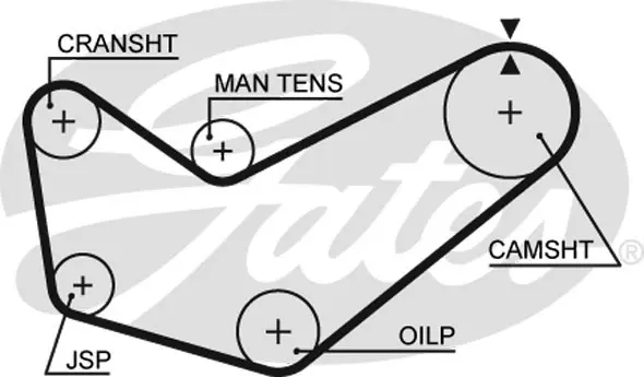SYNCHRONOUS BELTS 5218 91119X3/4 Gates 