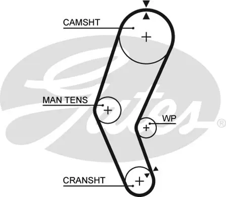 SYNCHRONOUS BELTS 5272 77109X16 Gates 