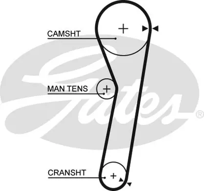 SYNCHRONOUS BELTS 5365 39103X16 Gates 