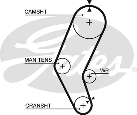SYNCHRONOUS BELTS 5401 77107X16 Gates 