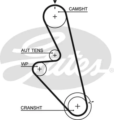 SYNCHRONOUS BELTS 5449 30985X20 Gates 