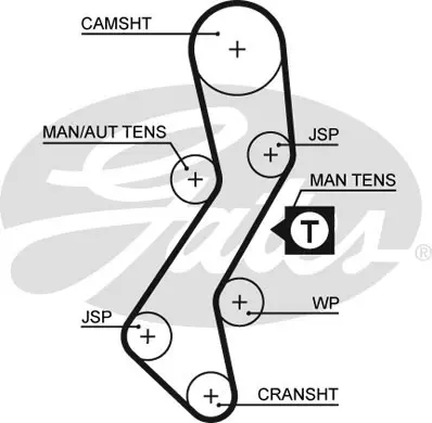 SYNCHRONOUS BELTS 5451XS 98116X22 HSN Gates 
