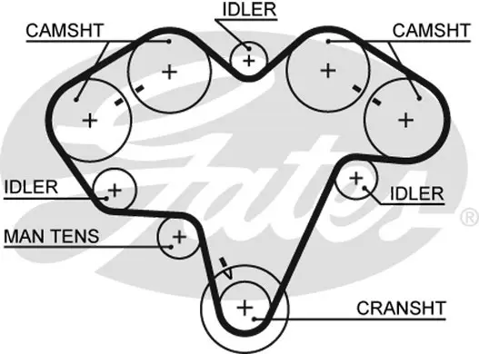 SYNCHRONOUS BELTS 5475 58174X28 Gates 