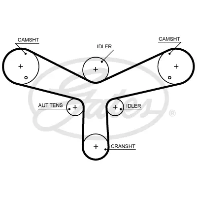 SYNCHRONOUS BELTS 5624XS 195X29 Gates 