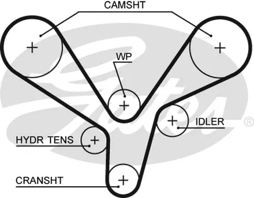 SYNCHRONOUS BELTS 5636XS 219X32 Gates 