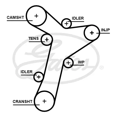 SYNCHRONOUS BELTS 5695XS 149X25.0 Gates 