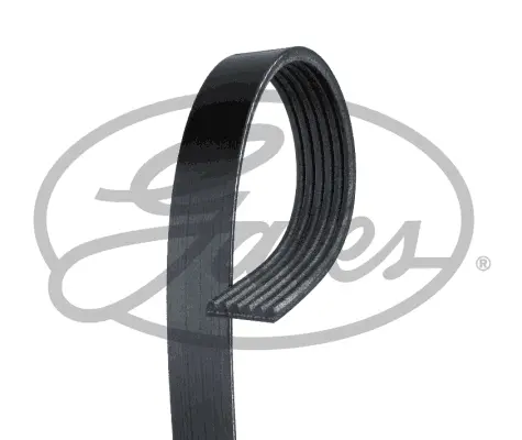 V BELTS 6PK2425 6PK2425 MV                     Gates 
