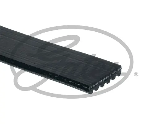 V BELTS 6PK2425 6PK2425 MV                     Gates 