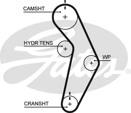 SYNCHRONOUS BELTS T245 112X29 Gates 