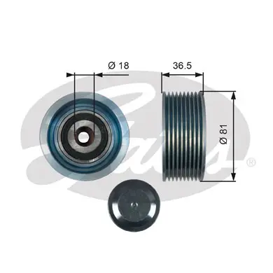 DriveAlign® Idler Pulley T36508 FLEETRUNNER MV IDLER 