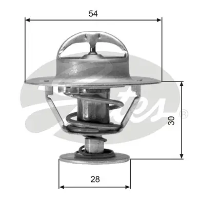 THERMOSTATS TH02491G1 TH02491G1 THERMOSTAT           Gates 