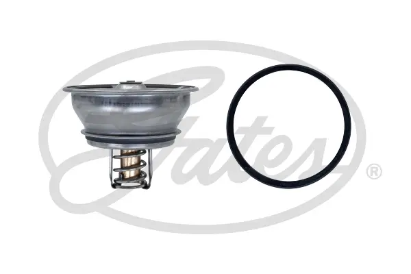 THERMOSTATS TH62486 TH62486 THERMOSTAT             Gates 