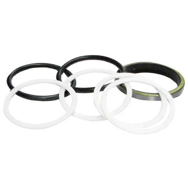 Sealkit Ø55mm Type 1 HACO MBB Palfinger 