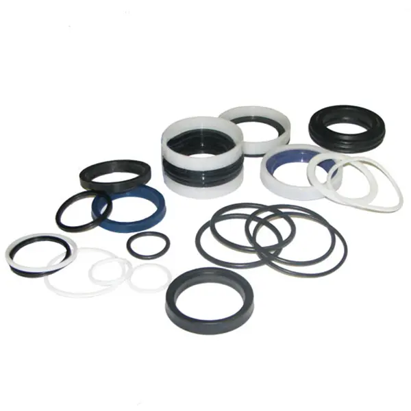Sealkit DZ Ø50/36-200 HACO Bär Cargolift 