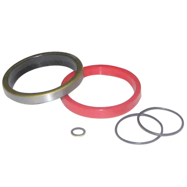 Sealkit EZ Ø49,5 HACO Bär Cargolift 