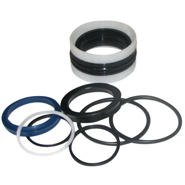 Sealkit DZ Ø60/40-220 HACO Bär Cargolift 