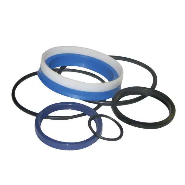 Sealkit Ø55/90mm single acting HACO Dhollandia 
