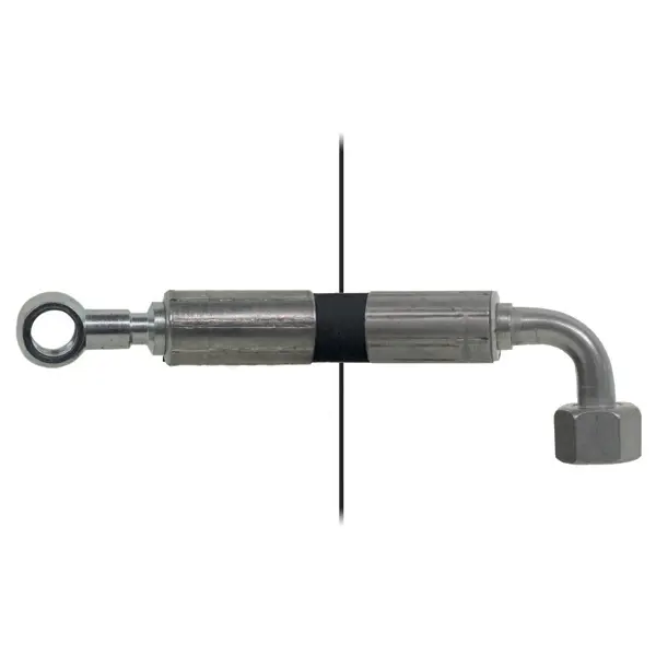 Hose Eye=Ø10/Nut=12L90° - Length=2700mm Dhollandia 