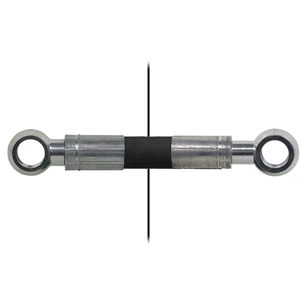 Hose Eye=3/8"/Eye=3/8" - Length=1600mm H Dhollandia 